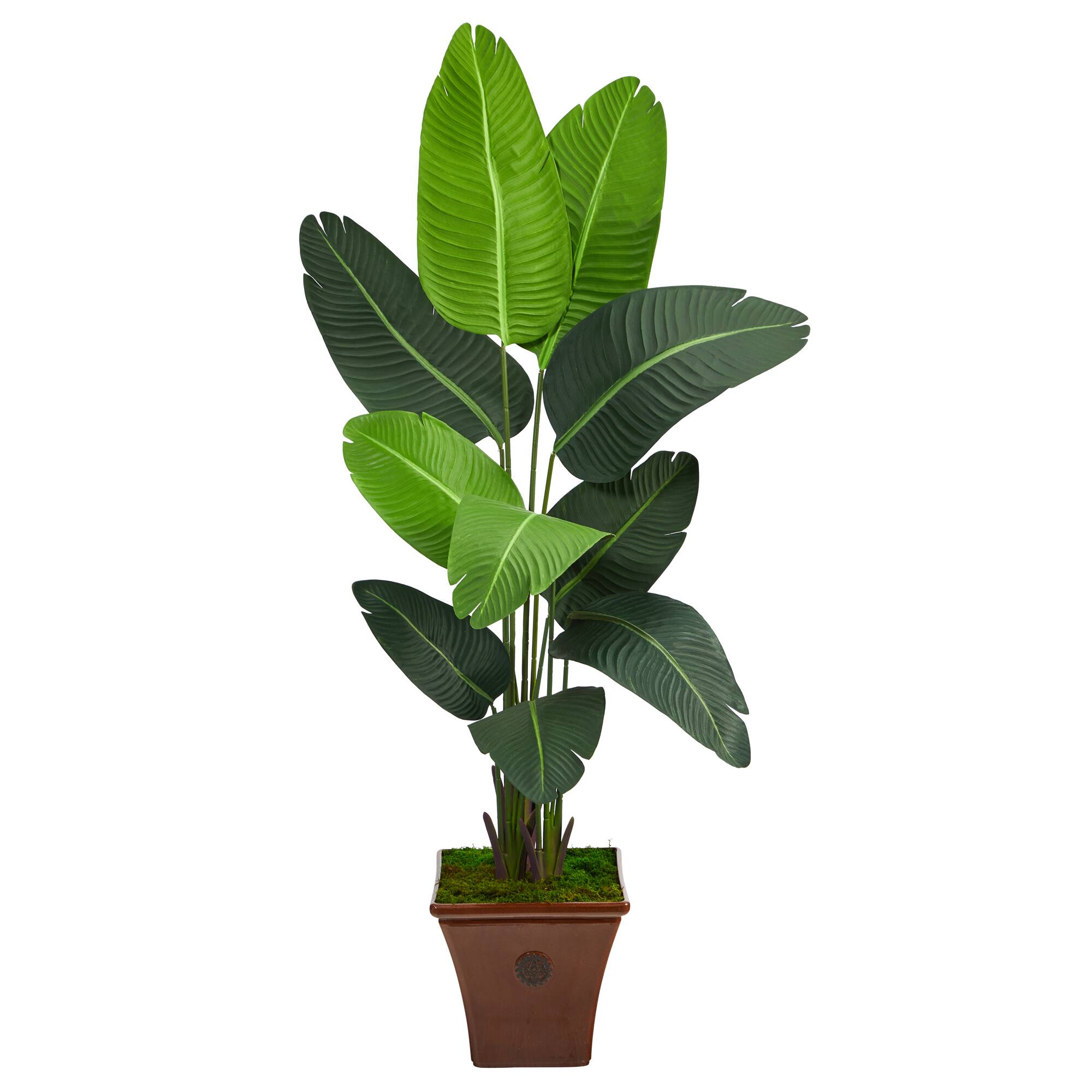 5.5ft. Travelers Palm Artificial Tree in Brown Planter